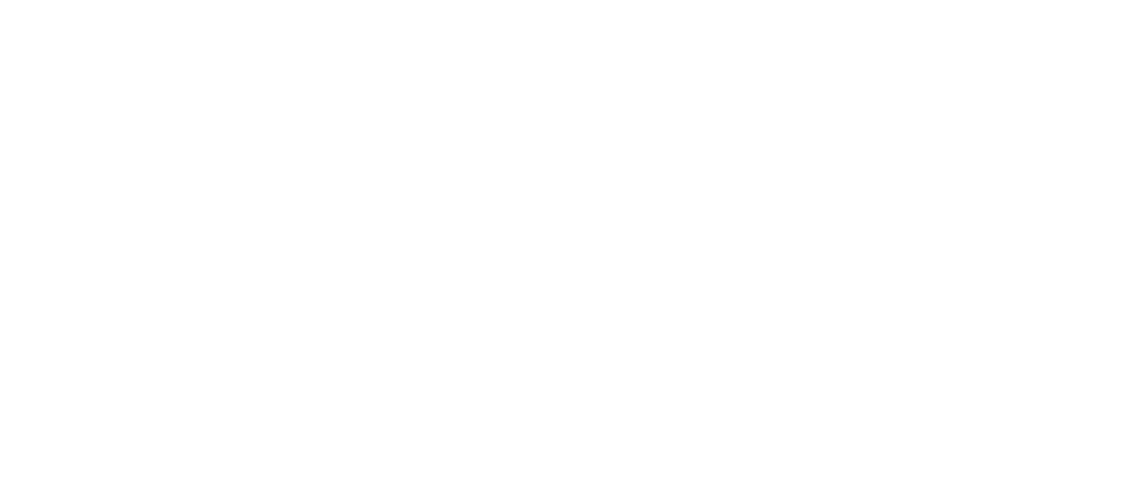 omnipayments logo white